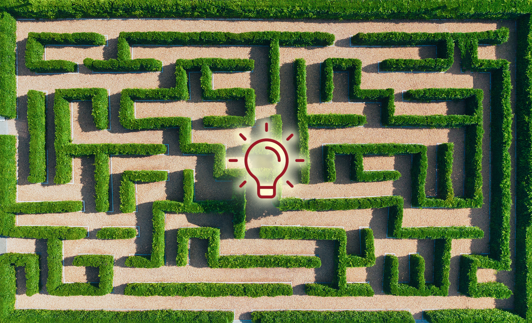 Foto eines Labyrinths aus Vogelperspektive mit Glühbirnen-Icon in der Mitte - Business Process Management