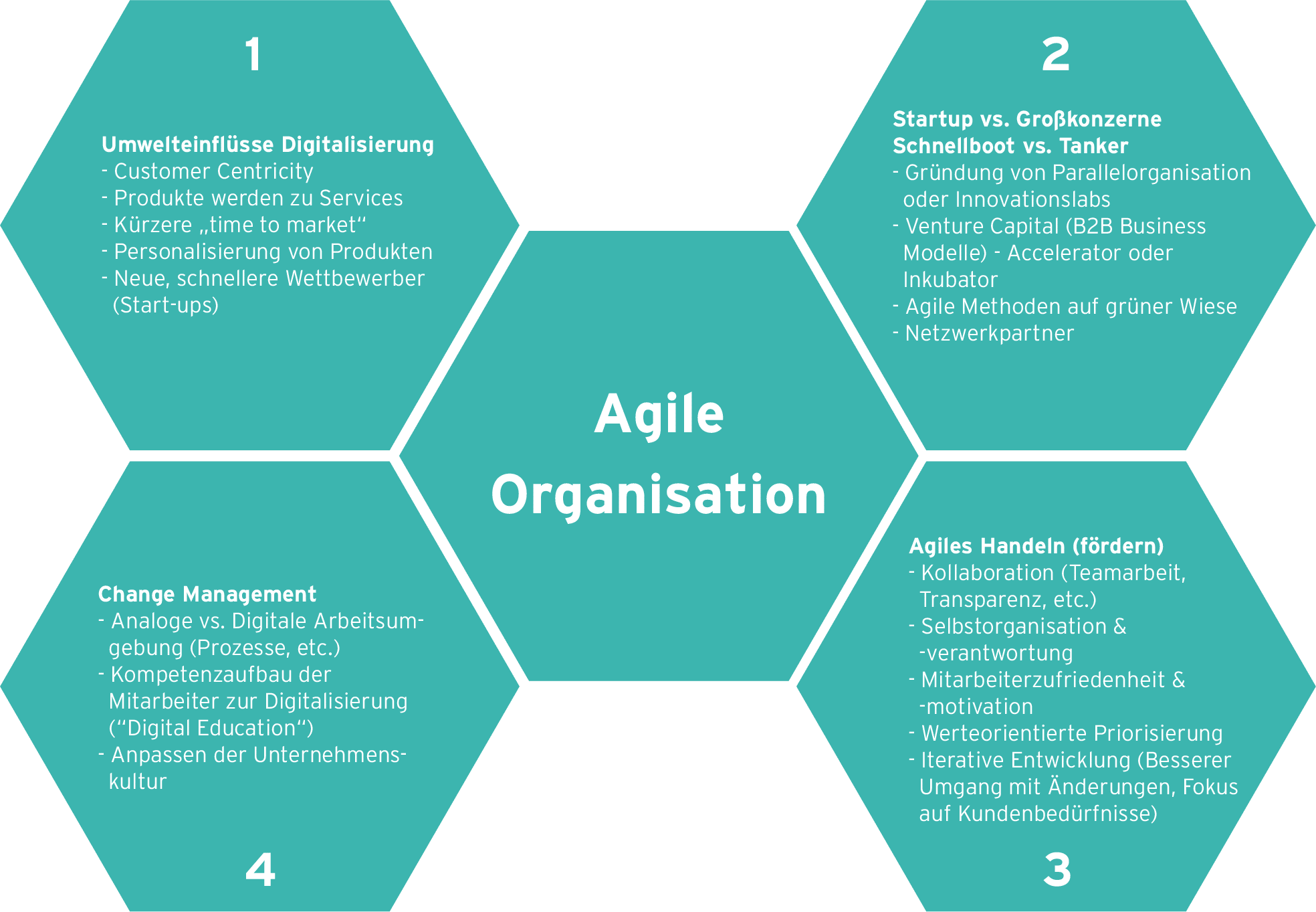 Agile Organisation